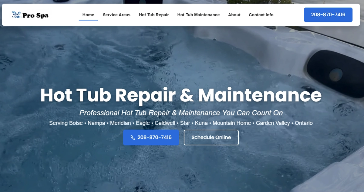 Screenshot of Pro Spa website